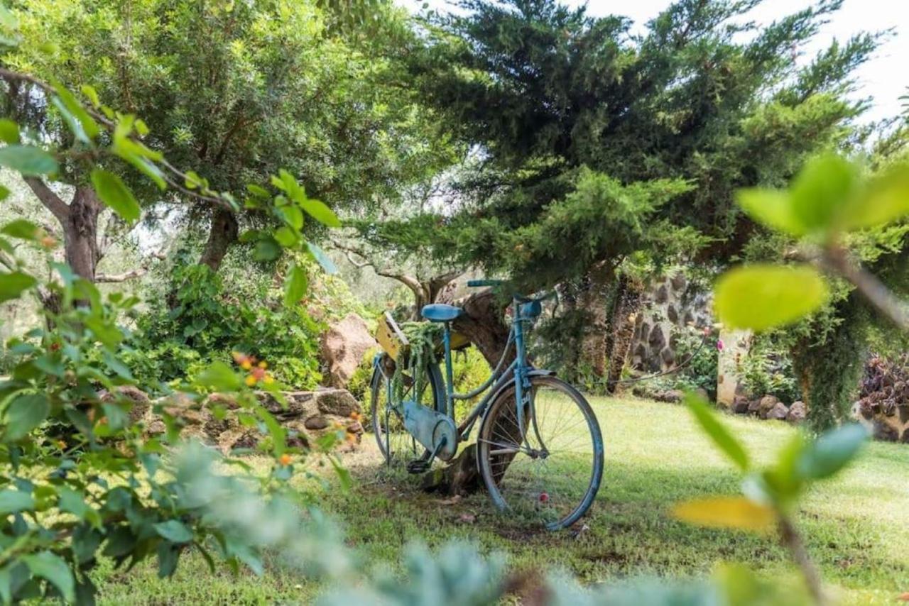Villa Con Immenso Giardino Orosei Kültér fotó
